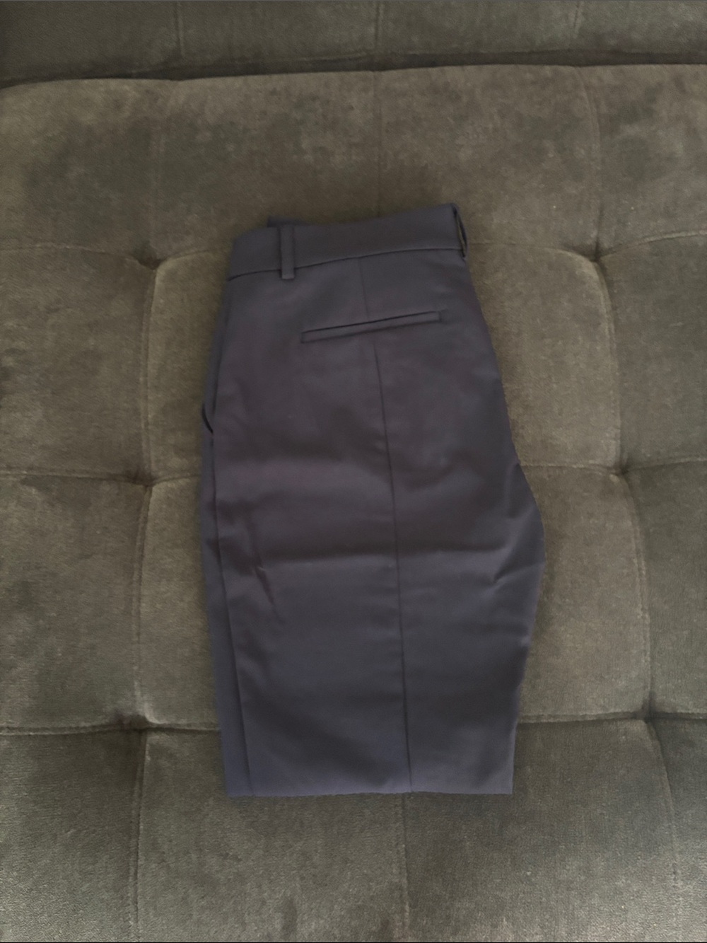 Express Navy Cropped Dress Pants